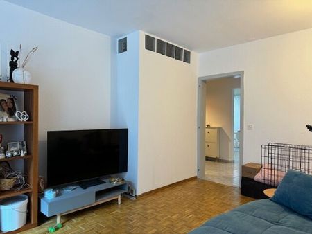 GIORNICO – Renovierte 4-Zimmer-Wohnung – 100 m² - Photo 3