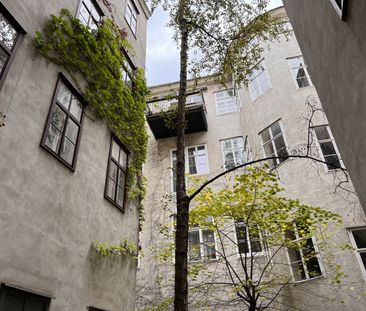 Ruhige Singlewohnung im Erdgeschoss Nähe Naschmarkt I unbefristet - Photo 6