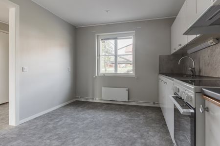 Petersburg 66 - Foto 5