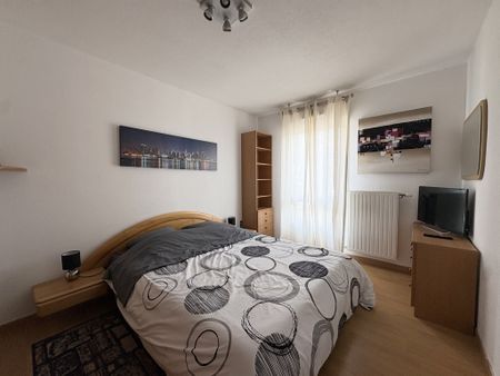 Location Appartement 2 pièces 50m² KEMBS 68680 - Photo 4