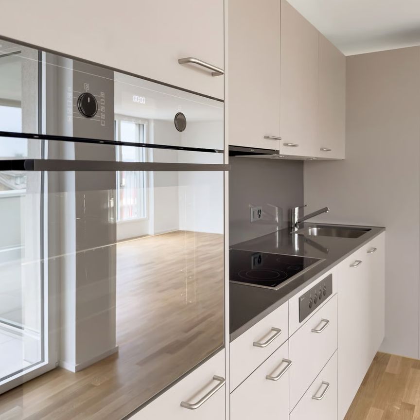 2.5 Zimmer, 59 m², 1. Stock - Foto 1