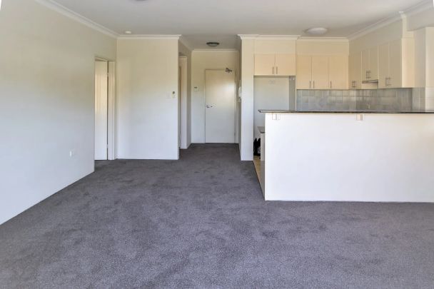 Charming One Bedroom Apartment in Heart of Willoughby - Photo 1