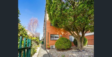 8/12 Pine Street, Hawthorn VIC 3122 - Photo 4