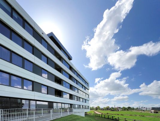 Te huur: Vuurvlindersingel 421 - Photo 1