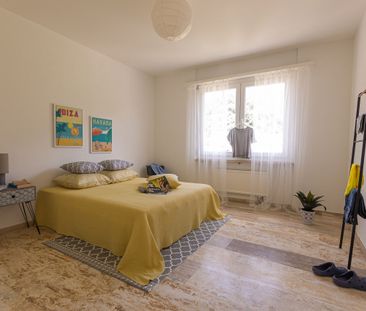 Affittiamo 3.5 locali, all'ultimo piano con vista - Photo 2