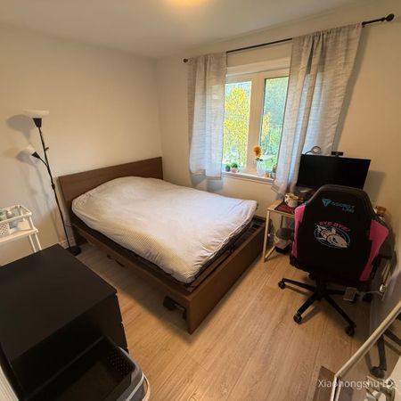 For Lease - 113 Stafford Road Unit# Main floor 1 room, Toronto, Ontario - Photo 3