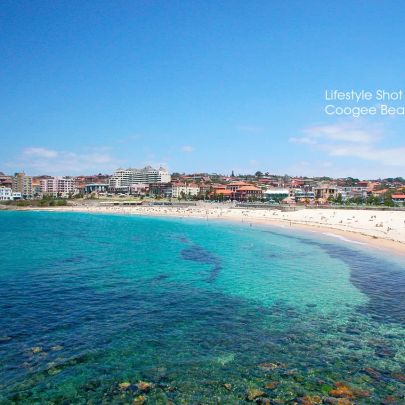 IMPECCABLE APARTMENT IN ONE OF COOGEE'S BEST STREETS - Photo 1