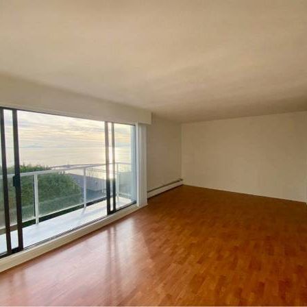 White Rock Ocean View Spacious 750sqft 1 Bedroom Corner Unit Apartment - Photo 3