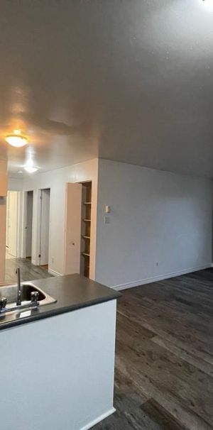 Beau 4 1/2 libre maintenant à Ste-Catherine (rive-sud de Mtl) - Photo 1