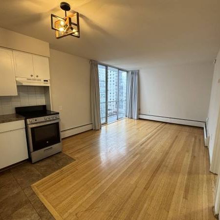 1 Bed 1 Bath Near Downtown, English Bay Sunset Beach, Stanley Park - Photo 3