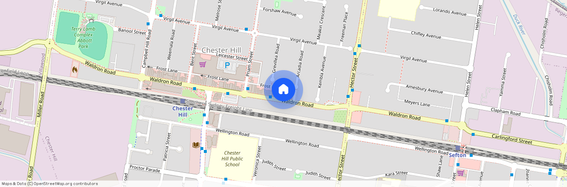 88A Waldron Road, NSW 2162, Chester Hill