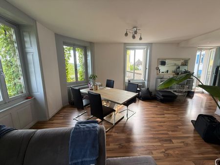 3.0 Zimmerwohnung in Schaffhausen - Foto 3