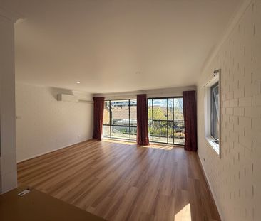 124/26 Oliver St, Lyneham ACT 2602 - Apartment For Rent | Domain - Photo 4