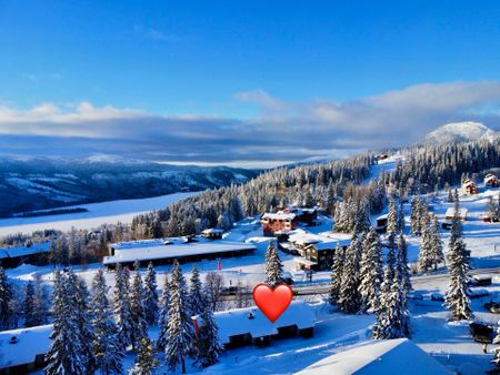 Björnen Renen, Åre - Foto 3