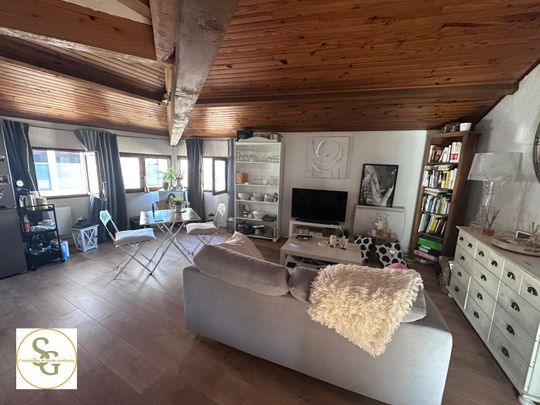 Location Appartement 1 pièce 40m² GAILLAC 81600 - Photo 1