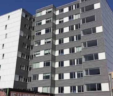 5 double bedroom furnished flat in heart of Student City - Photo 2