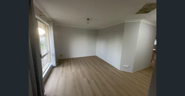 Family 4 x 2 Great Location - Photo 1