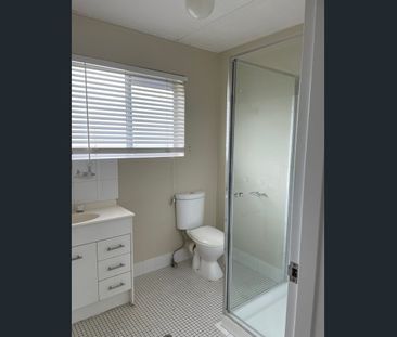 FIRST FLOOR APARTMENT IN CONVENIENT LOCATION - Photo 2