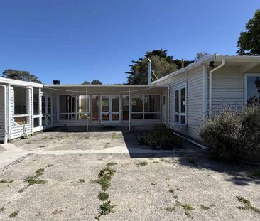 Peaceful Lifestyle Living in Sunny Te Horo - Photo 5