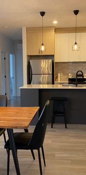 Grand 5 ½ moderne – Vue sur le Mont St-Hilaire – 2 stationnements - Photo 1