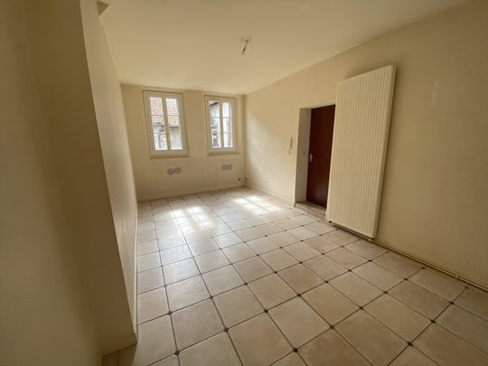 Location Appartement 2 pièces 52m² VILLENEUVE SUR YONNE 89500 - Photo 1