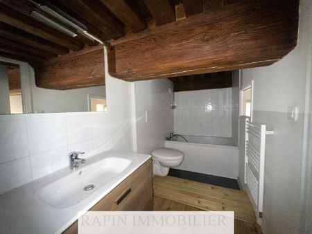 LYON 4e / Plateau - Photo 4