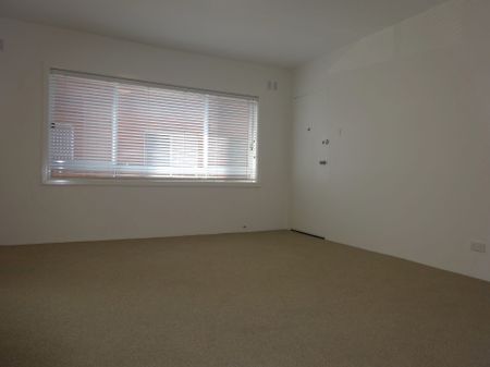 RECENTLY UPDATED SPACIOUS THREE BEDROOM - Photo 5