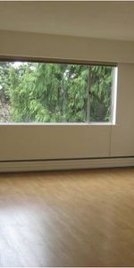 HUGE 1 Bedroom in Great Marpole location! Spacious & Bright!!! - Photo 3