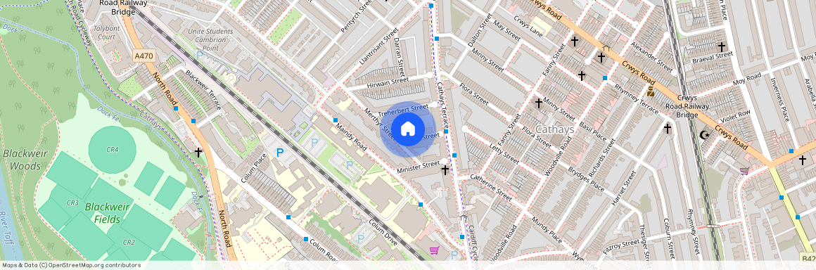 Treorky Street, CF24 4JP, Cathays