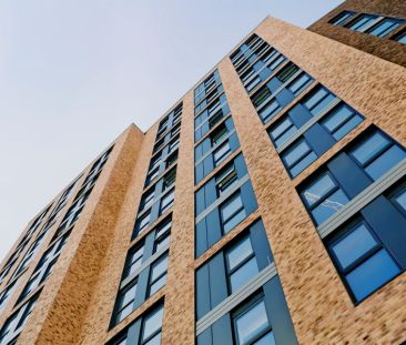 Bronze Studio - Photo 1