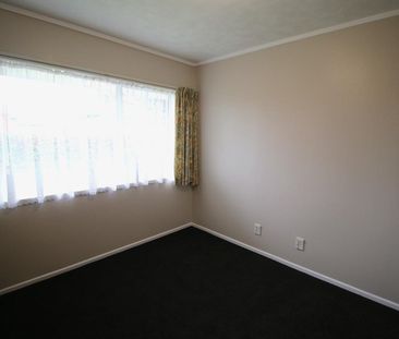 Freshly renovated on Vogel - Photo 6