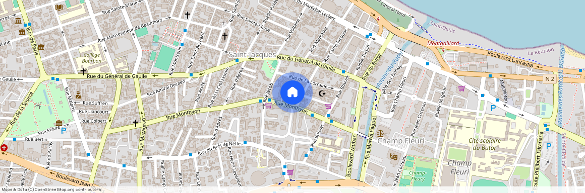 16 rue d'Alsace 97400 SAINT DENIS