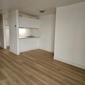 1 CH - 1 SDB - Montréal - $1,395 /mo - Photo 2