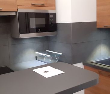 Location appartement 1 pièce, 21.26m², Palaiseau - Photo 2