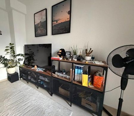 Sanierte 41qm 1-ZKB Altbauwohnung in der Mainzer Altstadt - Photo 4