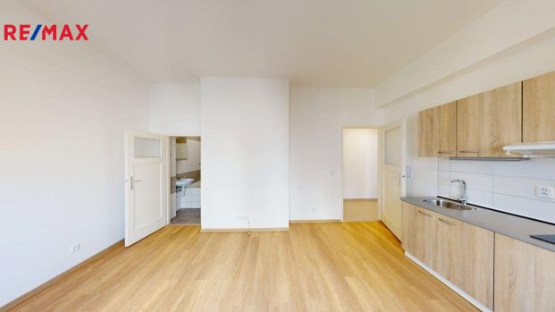 Pronájem bytu 2+kk v osobním vlastnictví 41 m², Praha 6 - Břevnov - Photo 1