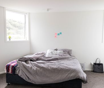 Brand new Studio Rooms on Malvern Street - Available for 2026 - Photo 1