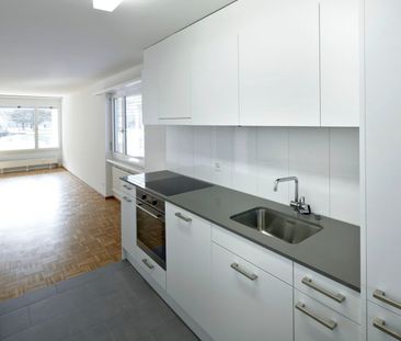 3.5 Zimmer, 75 m², 1. Stock - Foto 1