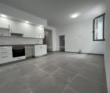 Sineu - Foto 1