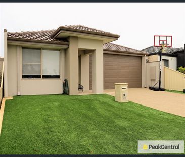 38 Plumwood Avenue, Hammond Park, WA 6164 - Photo 1