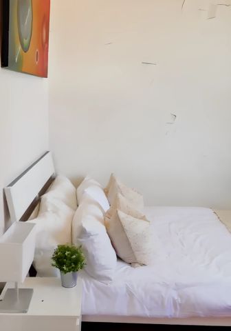 70 New Canterbury Petersham, Sydney - Photo 3