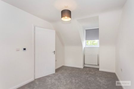 Pumpkin close - Photo 5