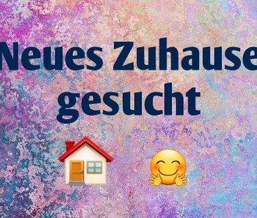 Sehr Sehr dringend Wohnung gesucht - Foto 1