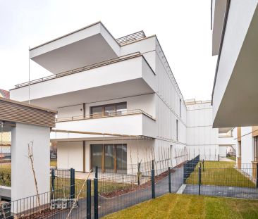 Erstbezug: westseitige 2-Zimmer-Wohnung mit großer Terrasse - Photo 4