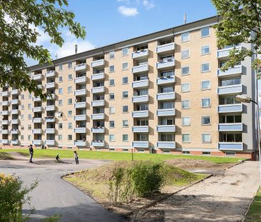 Afd. 49 Højhuset - Foto 5