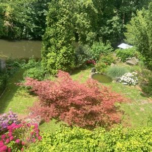 ERSTBEZUG nach Neuausbau - Okergrundstück mit Terrasse - Photo 1