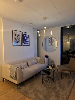 Lodjursstråket, Göteborg - Foto 1