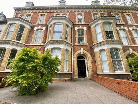 25 Ulsterville Avenue, Belfast, BT9 7AS - Photo 5