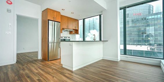 1 chambre - 1380 René-Lévesque Ouest, Montréal - Photo 3
