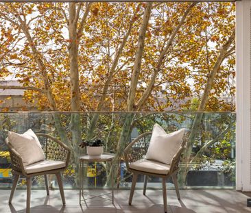 Light-Filled Designer Apartment in the Heart of Neutral Bay - Photo 4